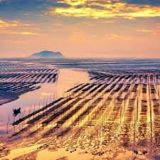 ซินดี้ สิรินยา avatar